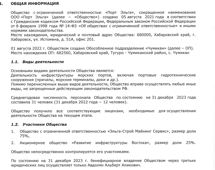 Avdolyan's debt pit: Elga port threatened with bankruptcy Avdolyan's debt pit: Elga port threatened with bankruptcy