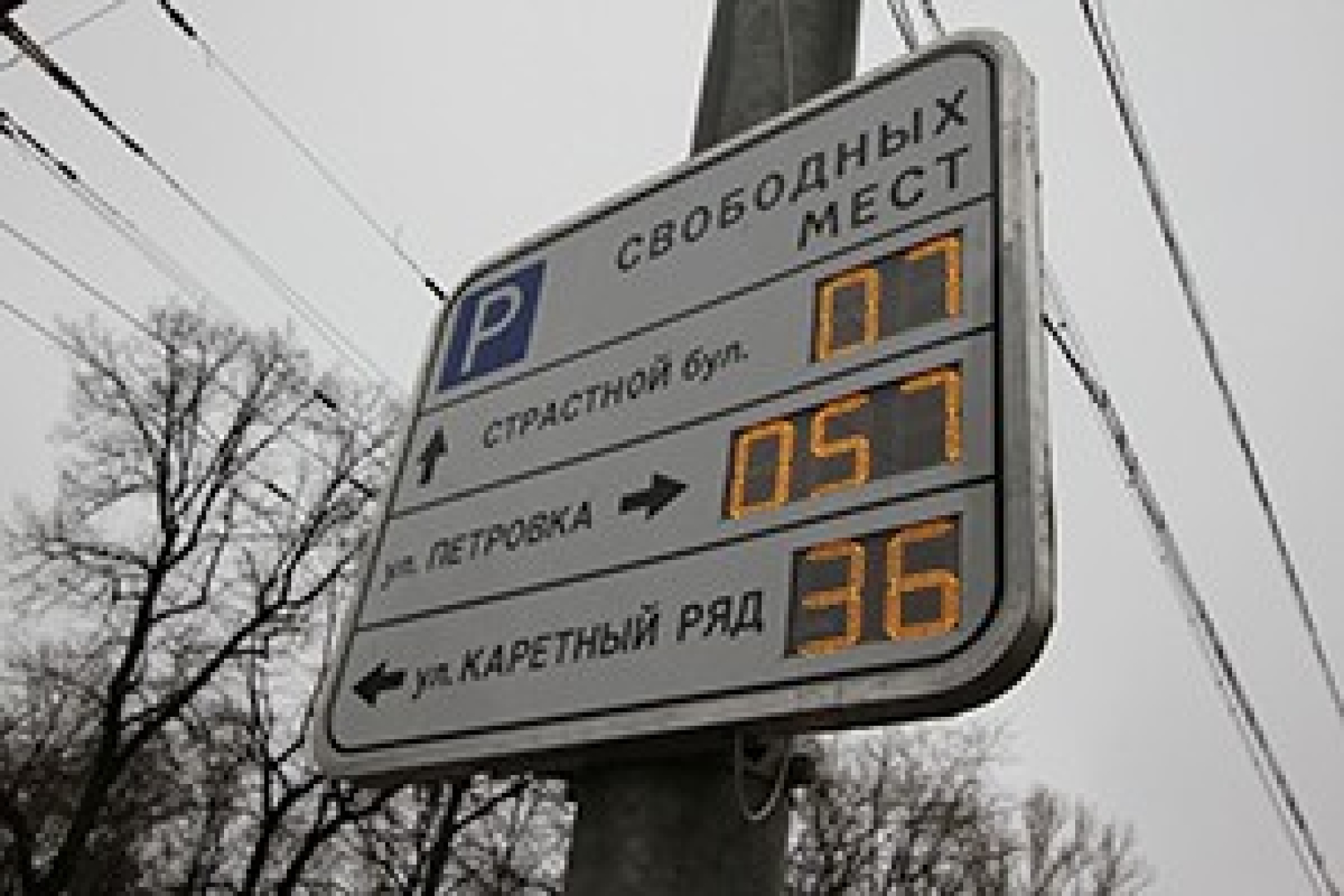 Судьбу платных парковок будут решать жители Москвы?