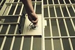 Последняя фигурантка "дела Шубина" получила 7 лет