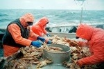 Компромиссный вылов краба в России