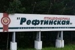 Куриный помет и мясорубки Косилова