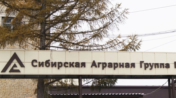"Свинский крахмал" "Сибирской аграрной группы"