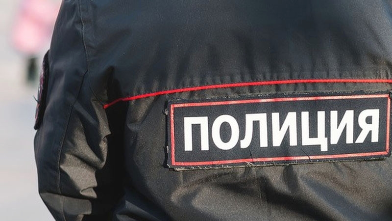 Женщину сняли с поезда за ненадлежащее обращение с детьми