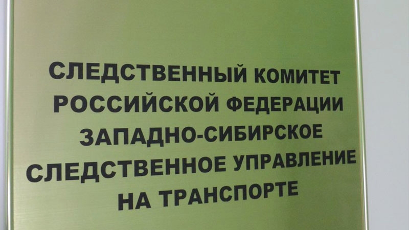 В СК сообщили причину возвращения самолета в Новосибирск