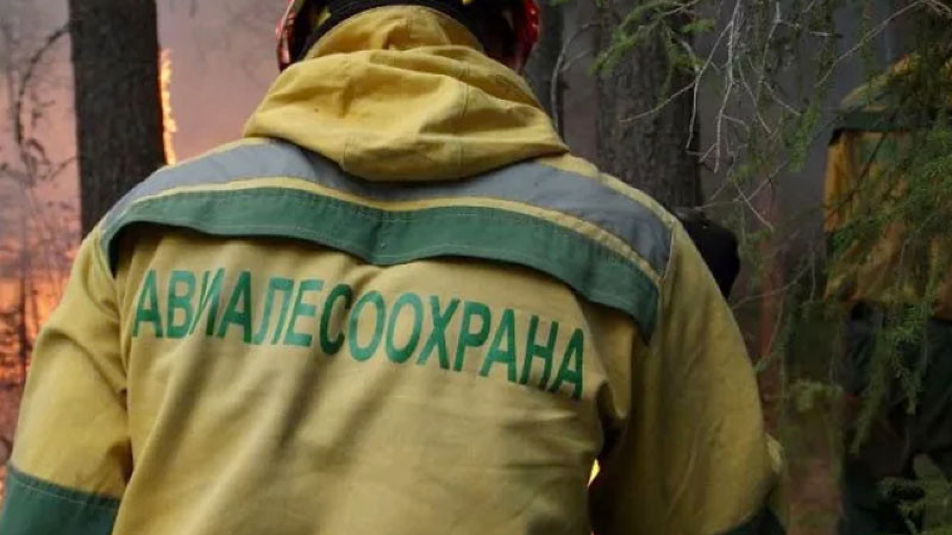 Леса пылают в восьми регионах России