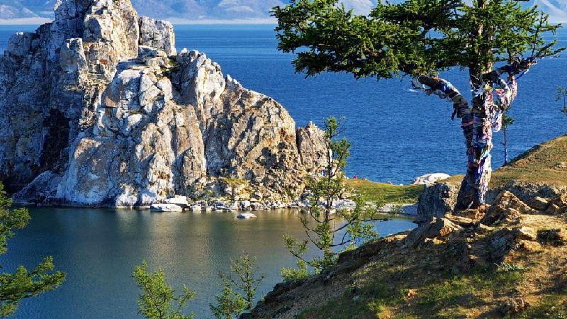 За полвека Россия не потеряла ни одного вида животных