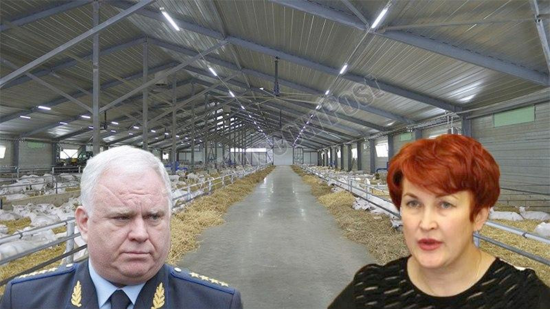 About goat's milk, ex-border guard Pronichev, Gangalo and "bayan"