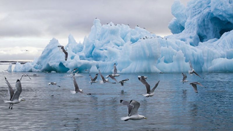Arctic: Northern bifurcation?