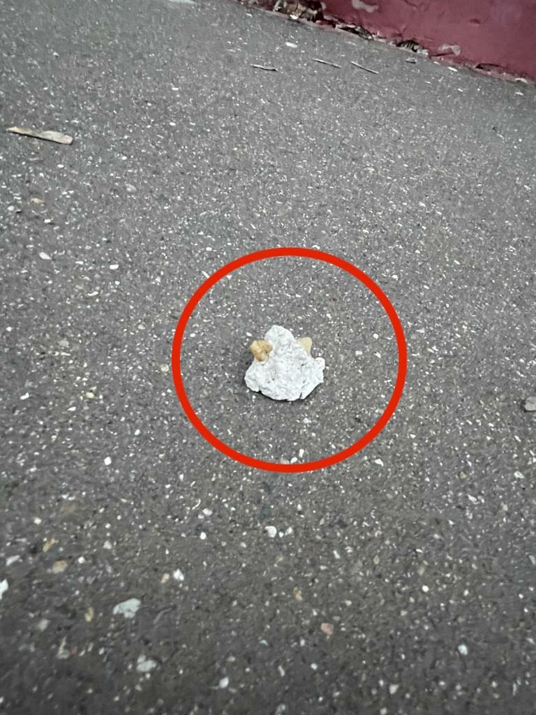 В педагогическом "омуте": странные дела в школе под руководством г-жи Марковой В педагогическом "омуте": странные дела в школе под руководством г-жи Марковой
