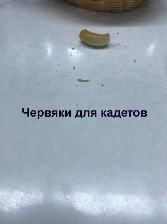 Беспозвоночные, от сушек до Светланы Маковской Беспозвоночные, от сушек до Светланы Маковской