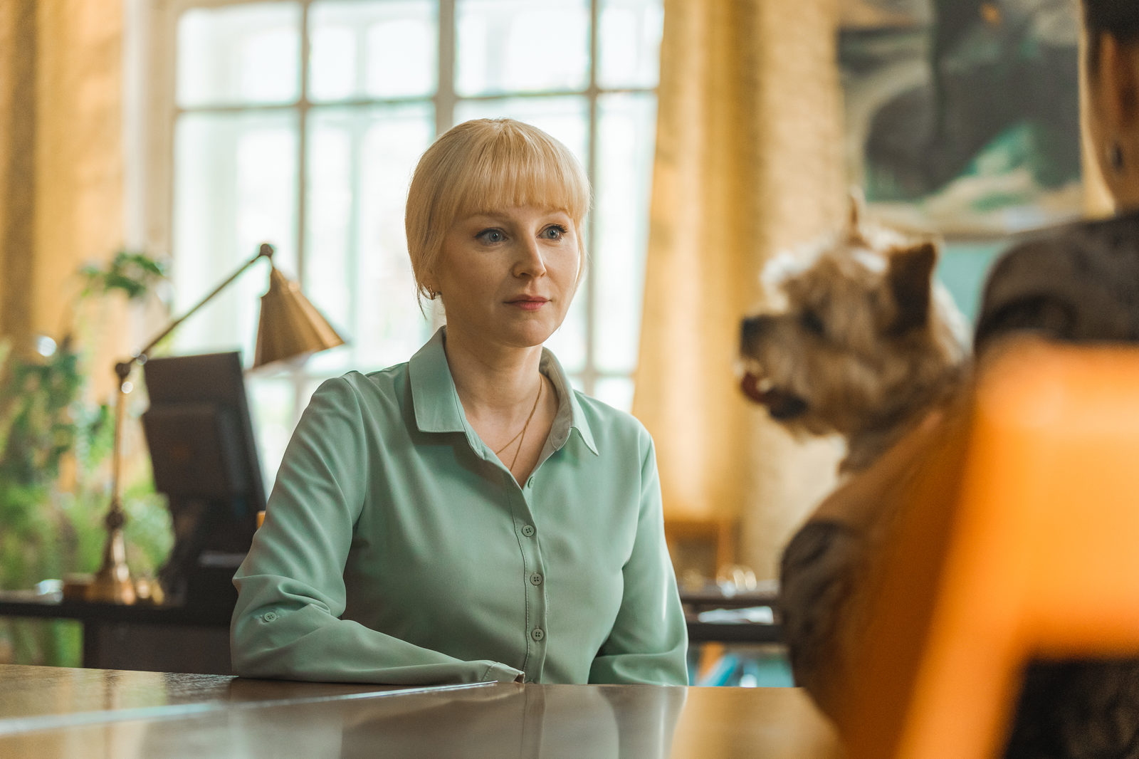 Премьера сериала Премьера сериала
