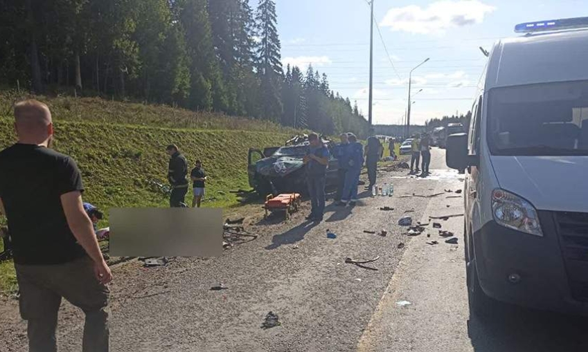 Двое детей погибли в ДТП группы велосипедистов с фурой в Ленобласти