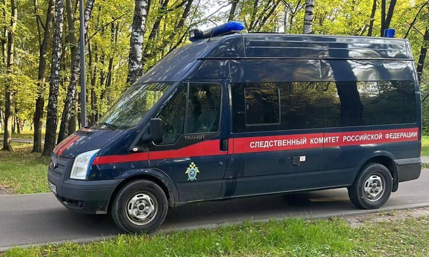 В Ленинградской области женщина убила мужа и ранила сына