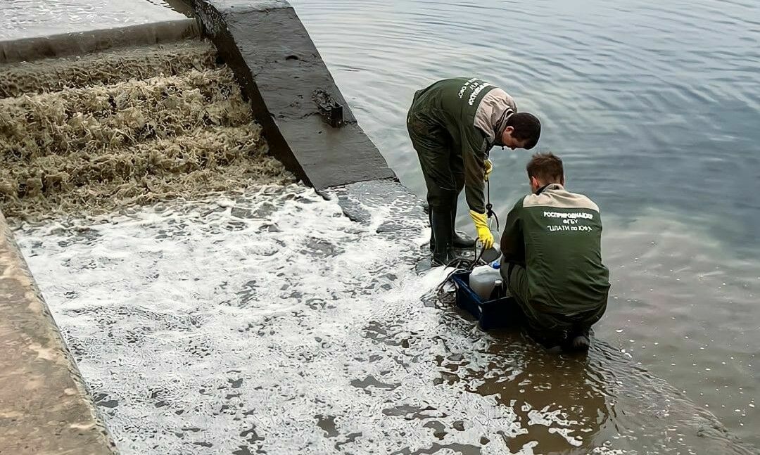 А еще матом кроет: почему волгоградцы устали от Бочарова А еще матом кроет: почему волгоградцы устали от Бочарова
