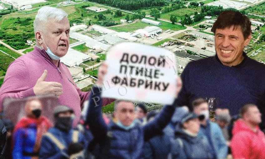 Челябинская "грызня" в курятнике: Текслер "Равису" товарищ?