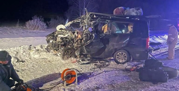 Восемь человек погибли в аварии с фурой в Пензенской области
