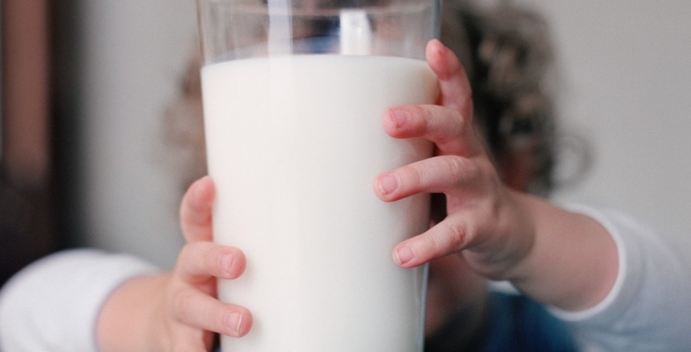 Петербургскую фирму заподозрили в поставках контрафактной продукции в детские сады и школы