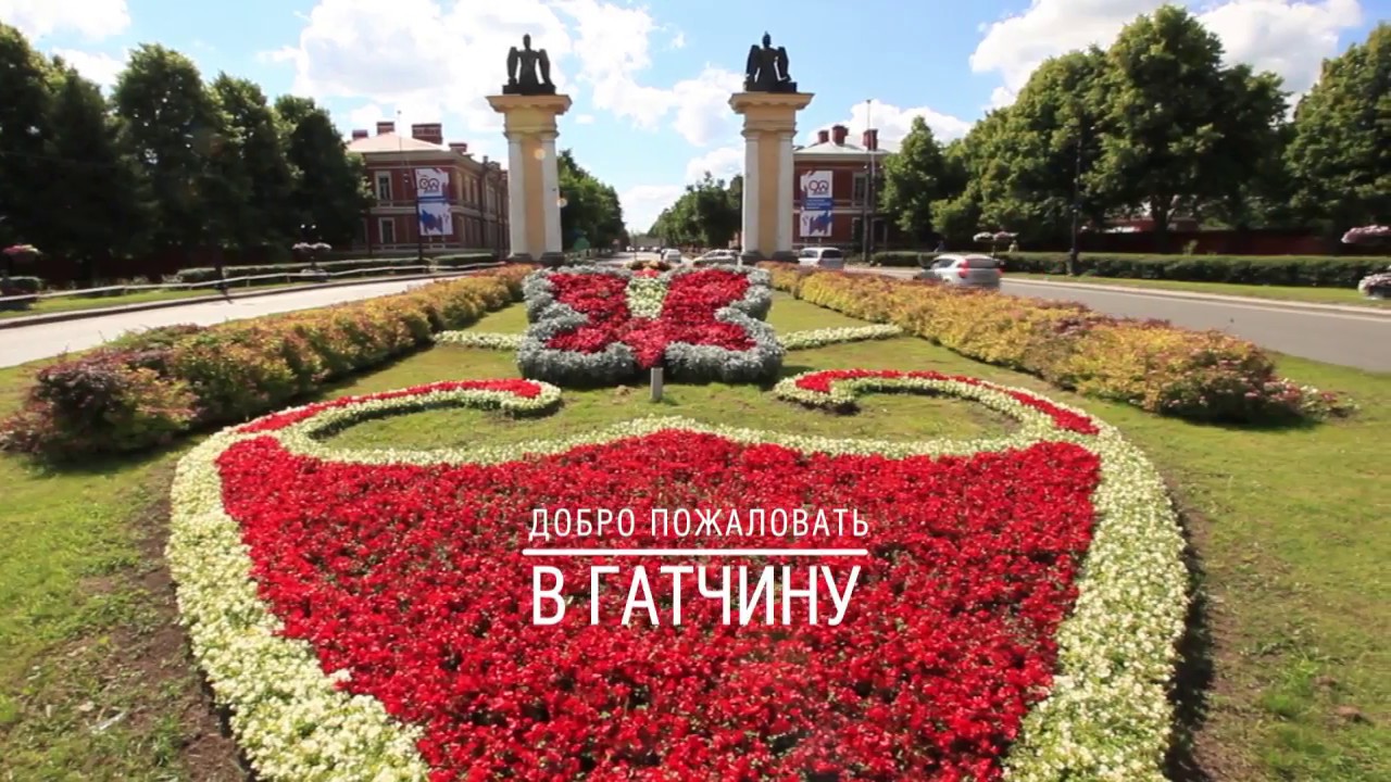 Губернатор Дрозденко селит многодетных на болотах? Губернатор Дрозденко селит многодетных на болотах?
