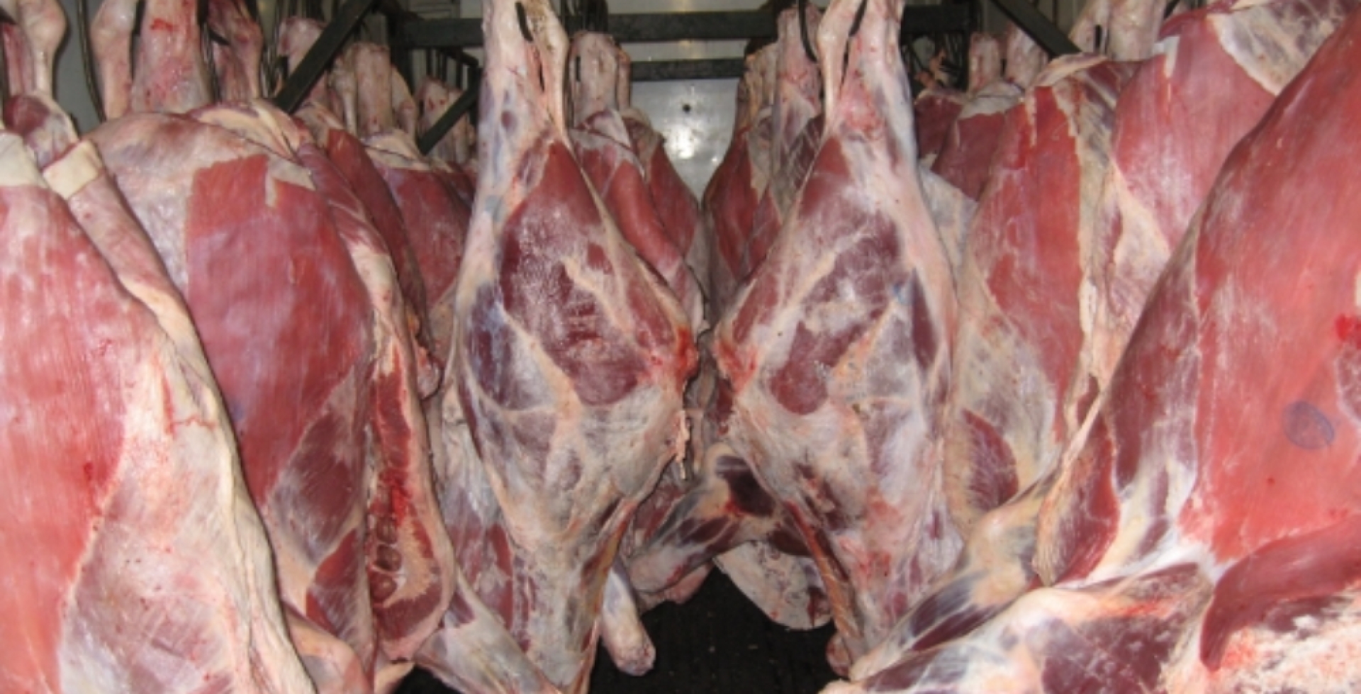Россельхознадзор запретил с 20 января ввоз животноводческой продукции из Евросоюза