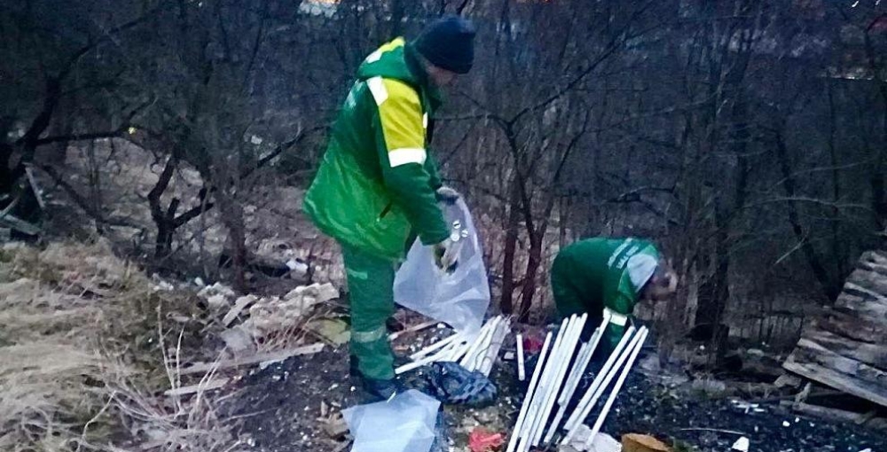Петербургские экологические службы собрали около 19 тонн опасных отходов за неделю