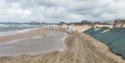 В Анапе зафиксированы новые следы мазута на побережье Черного моря