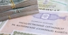 Госдума упростила процедуру получения маткапитала и ускорила выплаты через цифровую платформу