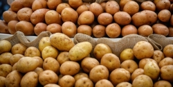Кто создает искусственный дефицит продуктов в России