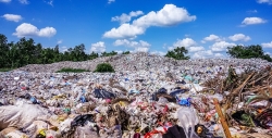 How in the Leningrad region merchants ruin nature with landfills