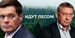 Евтушенков и Мордашов идут лесом: кто спасет лесную отрасль РФ?